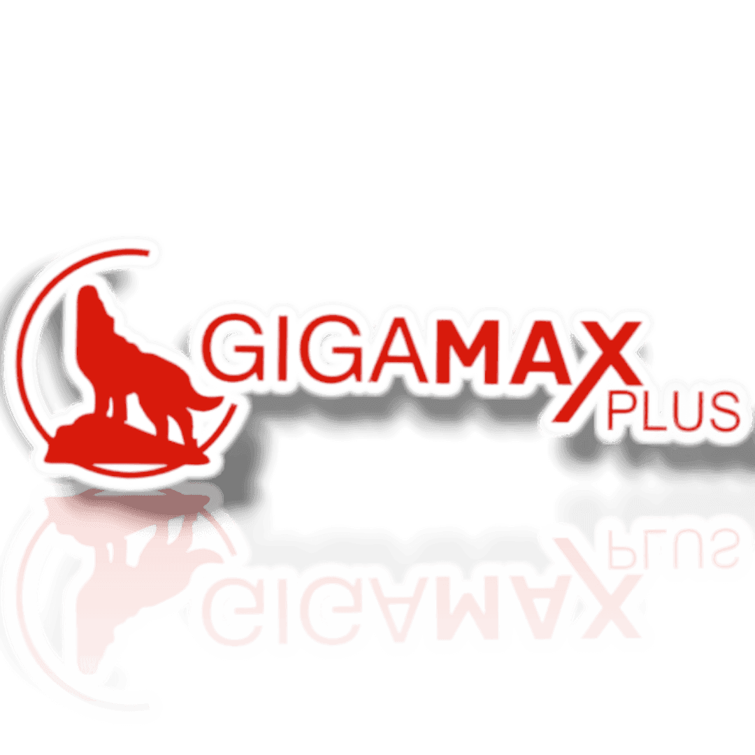 GIGA MAX PLUS logo